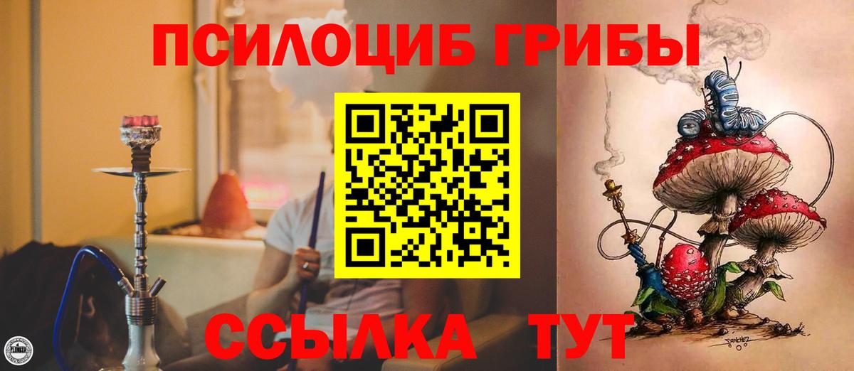 Галлюциногенные грибы мицелий  Вход с VPN  Галлюциногенные грибы мицелий  закладки  Качканар 